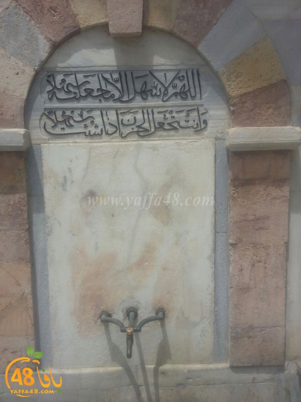 nisa2 lud in yaffa (5).jpg